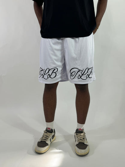 ARTISAN MESH SHORTS